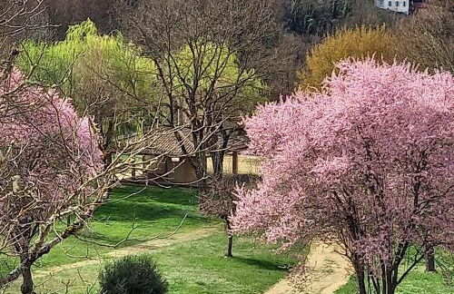 Gîte des Remparts près de Clermont, confort et charme - FR-1-582-541 - Foto 20