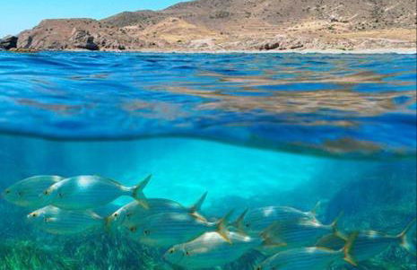 Vientos y Mares - Foto 38