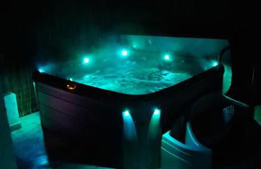 Acienne bergerie cévenole avec spa - Foto 3