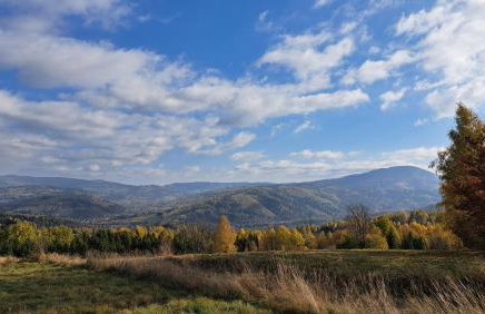 Dom pod Bukami - Foto 71