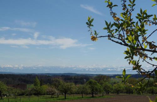Ferienwohnung Igel - Photo 18