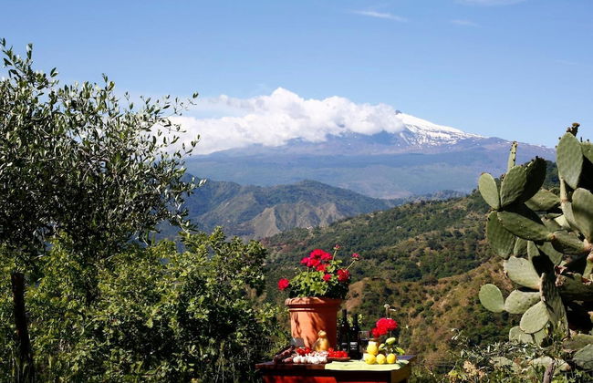 Agriturismo San Cataldo Farm Home - Photo 55