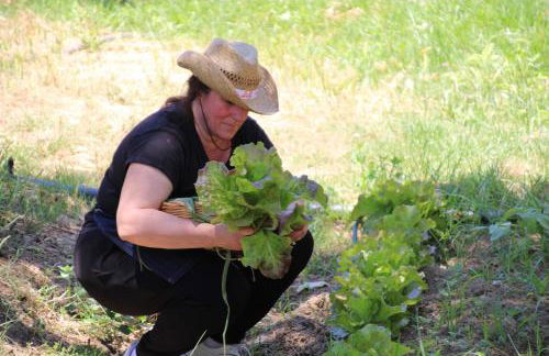 Agriturismo Vulcano - Foto 119