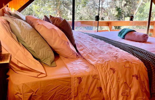 La Catedral - Foto 30