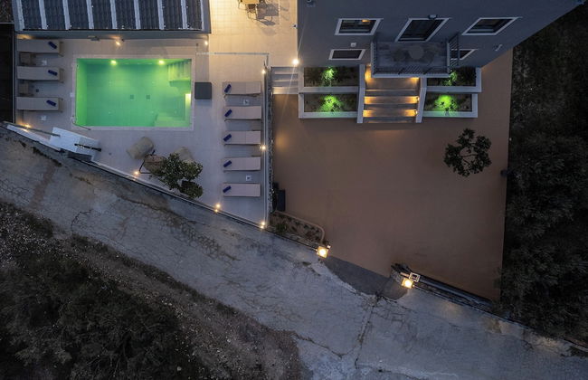 Olive Tree - Foto 30