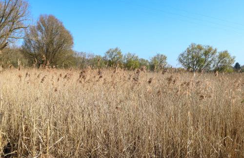 Wayford Mill - Photo 51