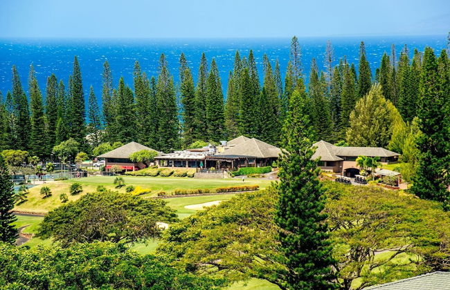 Kapalua Golf Villa 23v3 Ocean View - Foto 34