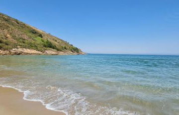 Will Container Experience - Foto 26