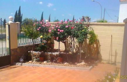 La Rosaleda de Orgaz - Foto 2