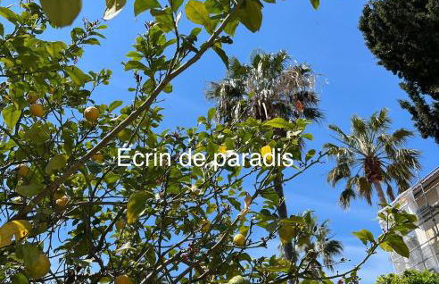 Casa Andréa Agreable T3 avec grand jardin à 3mn de la plage - Foto 41