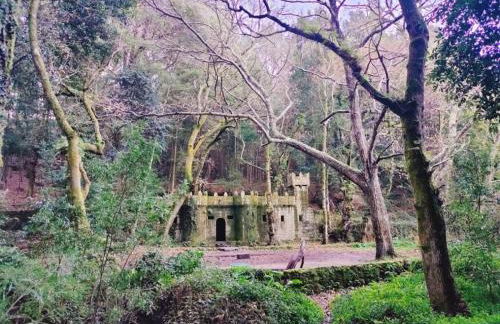 Apartamento en Aldán , Playa a 2 min , Vistas a la montaña - Foto 31