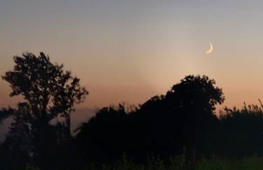 Quinta da Carlota - Photo 43