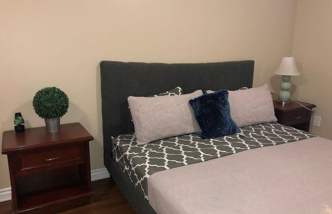 Hollywood Splendid Vacations - Foto 3