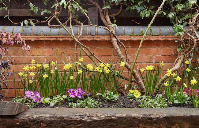 Fab 2 Bed Cotswolds Cottage With Private Courtyard - Foto 22