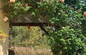 Mare Colline Città d'Arte - Foto 43