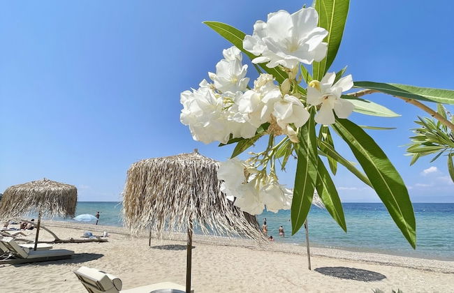 Byblos Mare - Foto 37