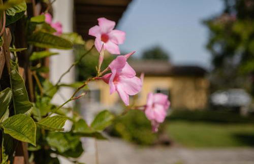 Alloggio Agrituristico Albafiorita - Foto 83