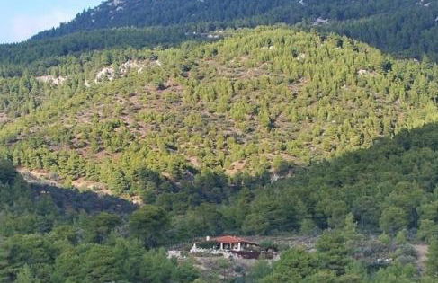 villa fairytale - Foto 77