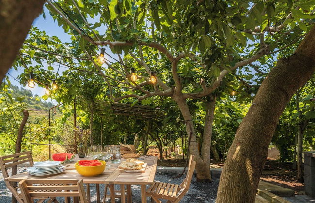 Vacations in the Countryside - Casinha dos Canhas - Foto 33