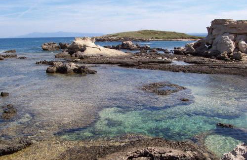 Agriturismo Le Mimose - Foto 12