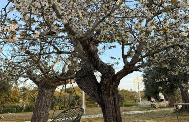 Trulli Fichi Luxury Trullo with Private Spa and Saltwater Pool - Photo 11