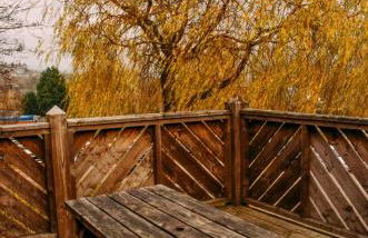 The Bike Shed - Photo 25