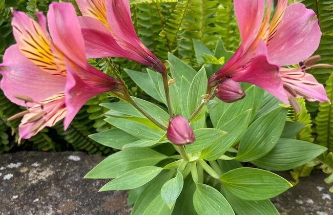 VISITAR BIOUCAS I - Casa Inteira Familiar e Grupo de Amigos - Foto 56