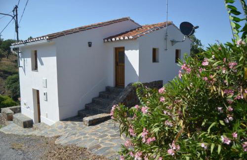 Casa do Pássaro - Photo 6