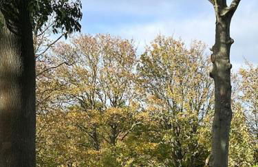 Woodside Lodge, Weybourne, Holt - Foto 12