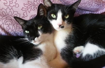 il Chiassetto Agriturismo No Kids - Foto 43