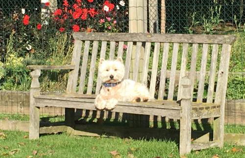 Chirk Cottage at Hill House Farm Cheshire - Photo 5