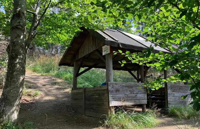 Ferienhaus in Wieda mit Garten - Foto 35