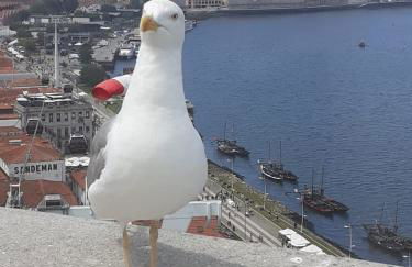 Fabrica Apart - Foto 21