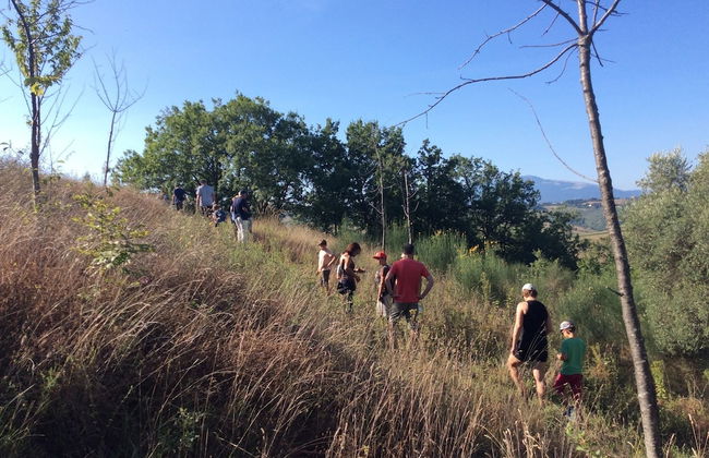 Agriturismo Terre Vineate - Foto 29