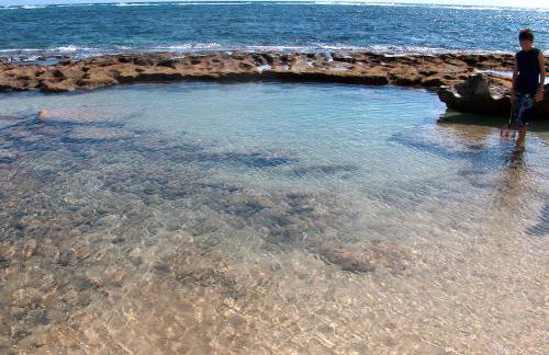 Itʻs All About the Beach - Foto 4