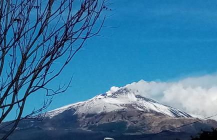 La Petite Maison - Foto 66