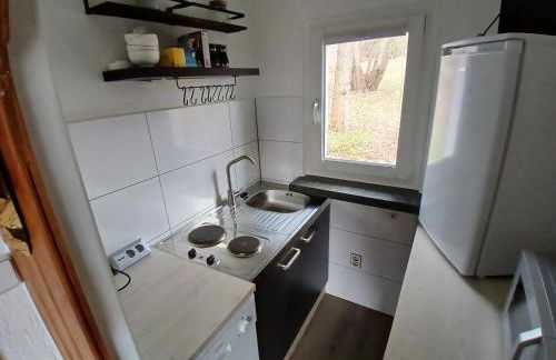 Ferienhaus Schlosswaldblick im Erzgebirge - Foto 36