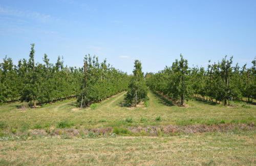 Casa de Vacaciones con Piscina, Jardín, A.A, Barbacoa, Wifi y Parking, Cerca de la Playa - ES-89-78 - Foto 27