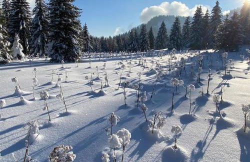 Dans hameau, près des pistes logement de plein pied au calme - Foto 11