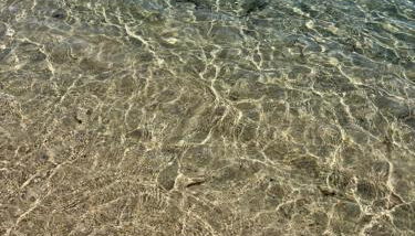 La Palamita House - Foto 4