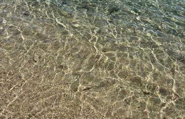 La Palamita House - Foto 4