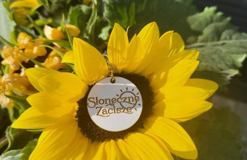 Słoneczne Zacisze Las obok Zatora - Photo 4