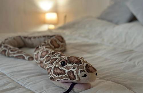 Casetta con giardino - Foto 10