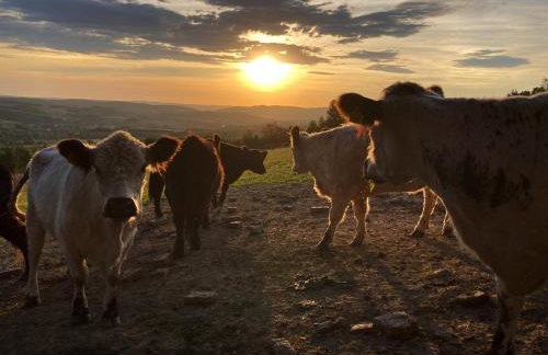 Chata pod stokiem - Foto 33