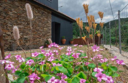 Casa da Eira Velha - Foto 8