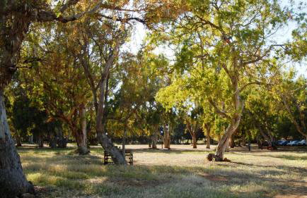 Villa Anva - Foto 23