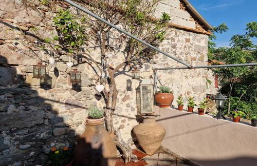 Afroditi's 1 - Photo 72