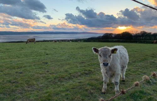 Excellent location for all types of vacation! - Foto 25