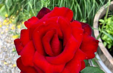 110qm Countryside Loft - Foto 46