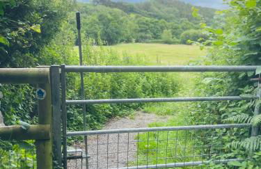 Collective Yard - Foto 30